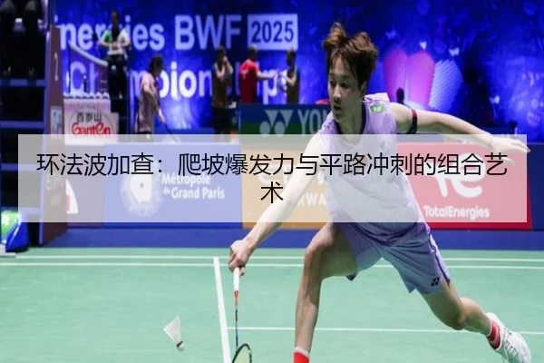 huan-fa-bo-jia-cha-pa-po-bao-fa-li-yu-ping-lu-chong-ci-de-zu-he-yi-shu-3-228.jpg